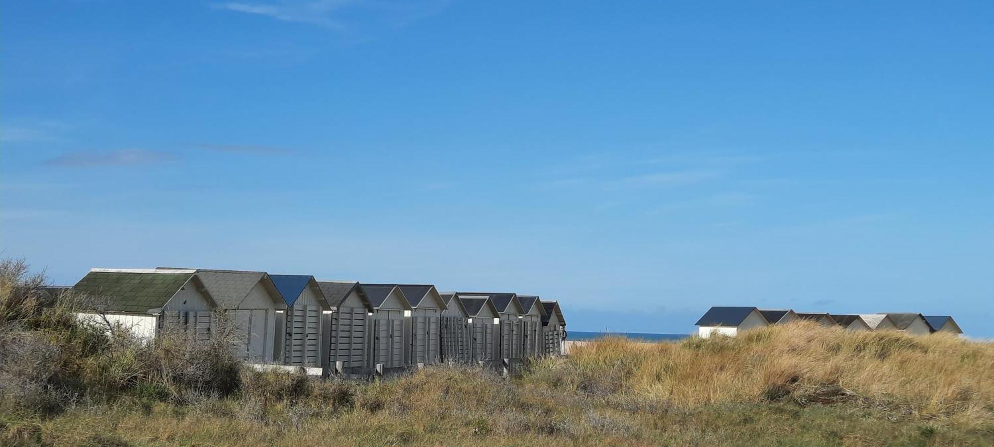 La Petite Taupe - Chambres D'Hotes Saint-Omer  Kültér fotó